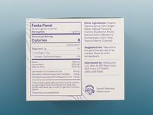 The Sleep Mushroom CBN Gummies - Blueberry Lemon by HempLucid feature a supplement facts label listing 1 gummy (8 calories) per serving with organic cane sugar, fruit juices, pectin, lion’s mane, Organic CBD, CBN, usage directions, and an expert-selected mushrooms logo.